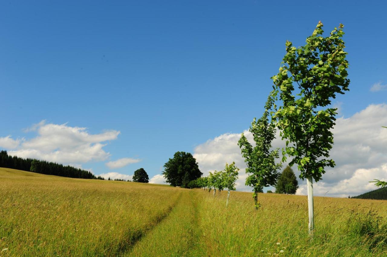 Wellness Holzberg Hotel